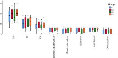 Relationship between bronchopulmonary dysplasia phenotypes with high-resolution computed tomography score in early preterm infants